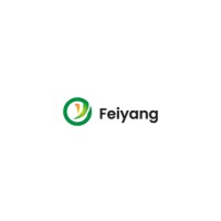Changzhou Feiyang Electronic Technology Co., Ltd.